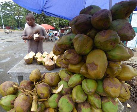 madafu coconuts. Mama Ngina Drive Mombasa. Diary of a Muzungu
