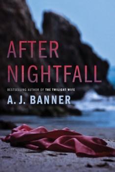 After Nightfall by A.J. Banner