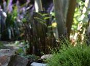 Getting Touch with Inner Child