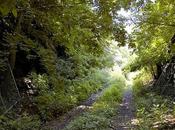 Land: Bergen Arches, Eastern
