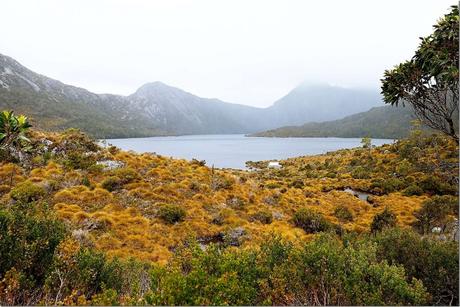 The Best Things to do in Cradle Mountain in Tasmania!