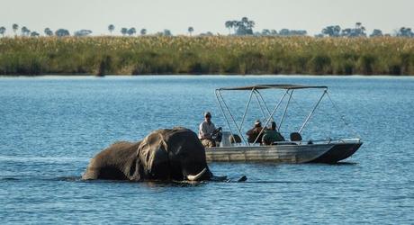 Enchanting Travels Botswana Tours Okavango Delta Linyati Wildlife Reserve Dumatau Camp (8)