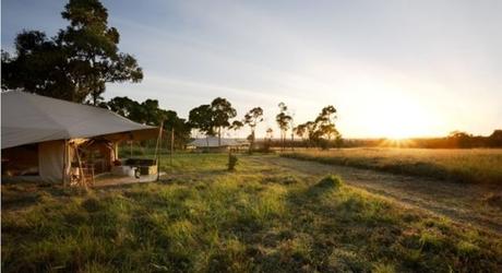Top five best African Safari Parks you have to see!
