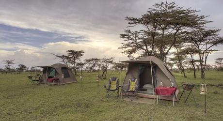Discover The Top Five Treasures On Your Trip To Kenya