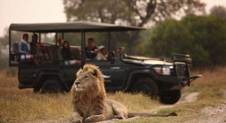 Enchanting Travels-Botswana Tours-Okavango Delta-Sandibe Safari Lodge-Game drive