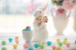 bunny candy celebration