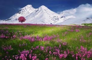 white mountains green field