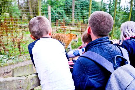A Roar-Some Day At ZSL Whipsnade Zoo