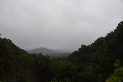 The Joy of a Gentle Rain. . .