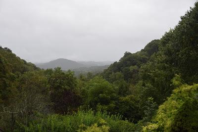 The Joy of a Gentle Rain. . .