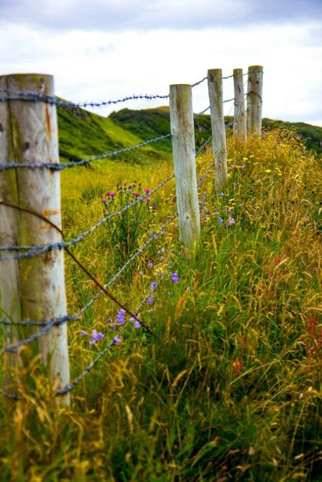 Enjoy a Trip to Northern Ireland