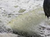 What Sewage Water Treatment Process?