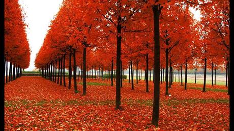 Welcome September // Good Vibes