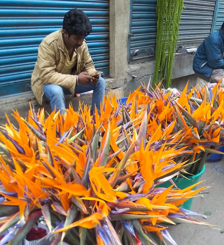 Photo essay: Bengaluru flower market, K R Market