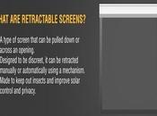 Retractable Screens 101: Know Your Options