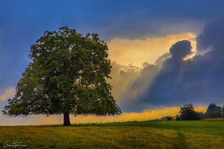 New Photo: God's Rays Nouvelle pic: Rayons de Dieu Visit: www.benheine.com #benheinephotograhy #landscape #nature #sunset #photographie #coucherdesoleil #photo #rochefort #belgium #countryside #belgique #paysdesvallees #arbres #paysage #fineart #art #p...