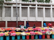 Photo Essay: Bengaluru Flower Market, Market