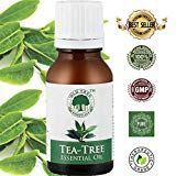 Old Tree Tea Essential Oil for Skin, Hair and Acne Care, 15ml