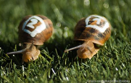 snails-competitors-race
