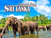 Best National Parks Lanka