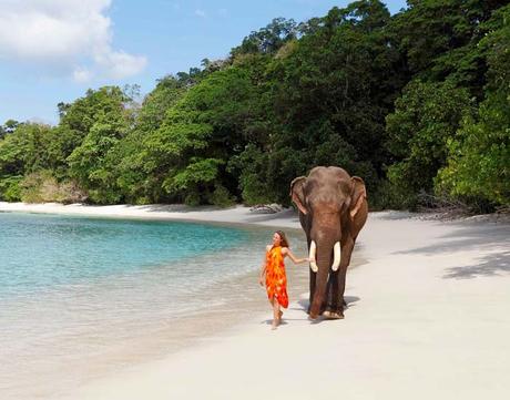 Best 7 Things to do in Andaman Nicobar