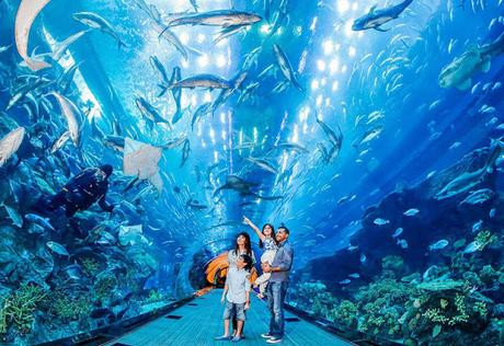 6 Best Things to Do in Dubai for Honeymoon