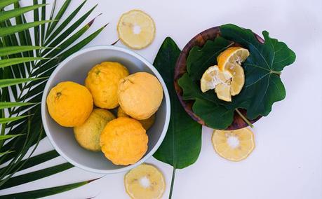 A white ceramic bowl of six lemons next to a smaller wooden bowl with four quarter lemon slices on deep green leaves.