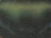 Truth About Cats Werewolves