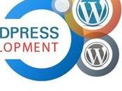 Advantages Custom WordPress Development Services