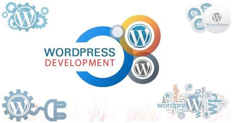 Advantages Of Custom WordPress Development Services