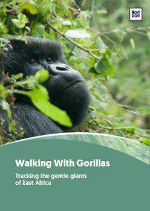 Walking with the Gorillas, ecotourism guide. Charlotte Beauvoisin