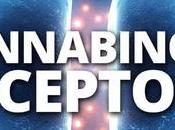 Cannabinoid Receptors Body Their Importance