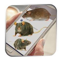 Best Mouse on screen app android