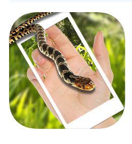 Best snake on screen app iPhone