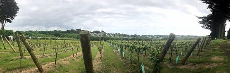 Travel: Polgoon Vineyard and Orchard, Cornwall