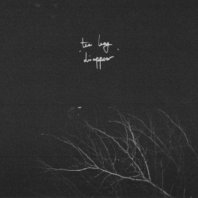 Tea Leaf – ‘Disappear’ EP track-by-track