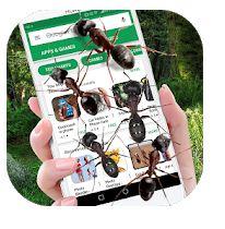 Best Ants on Screen app Android