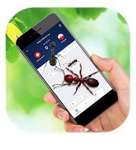 Best Ants on Screen app Android 