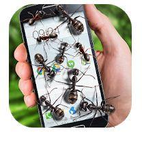  Best Ants on screen app Android