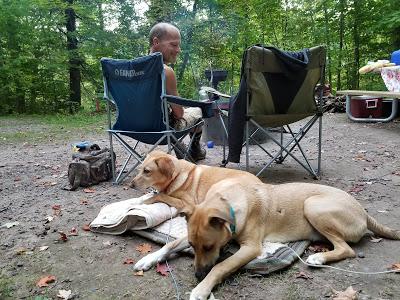 Camping With Dogs