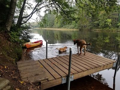 Camping With Dogs