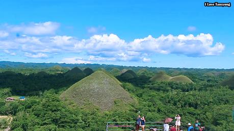🌄 Revisiting Chocolate Hills After 8 Years.