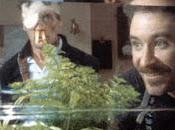 Favorite Movie #51: Fish Called Wanda