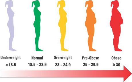 bmi calculator india obesity scale