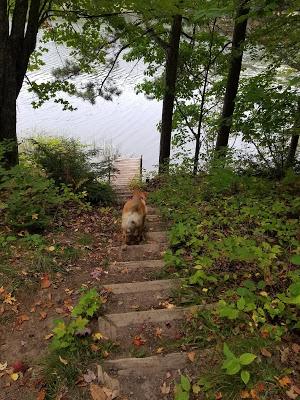 Spearhead Point Campgound @ Mondeaux Dam Rec Area