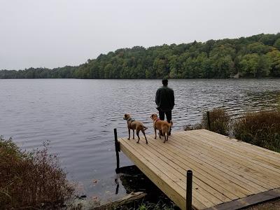 Spearhead Point Campgound @ Mondeaux Dam Rec Area