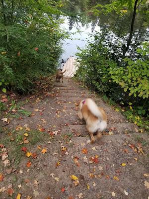 Spearhead Point Campgound @ Mondeaux Dam Rec Area