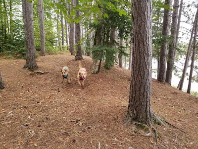 Spearhead Point Campgound @ Mondeaux Dam Rec Area