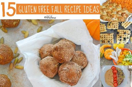 15 Gluten Free Fall Recipes Ideas