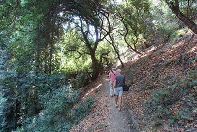 SHADY HIKE in JOAQUIN MILLER PARK in San Francisco’s East Bay
